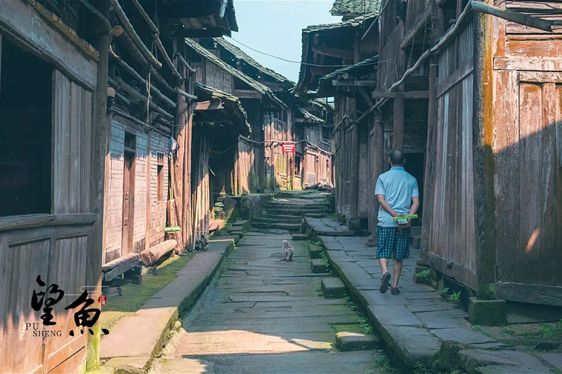 望魚古鎮(zhèn) 望魚古鎮(zhèn).jpg