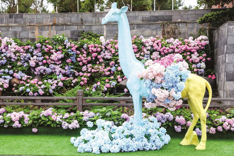 湖南：長(zhǎng)沙縣舉行首屆繡球花文化旅游節(jié)，以文旅融合助推鄉(xiāng)村振興發(fā)展之路！