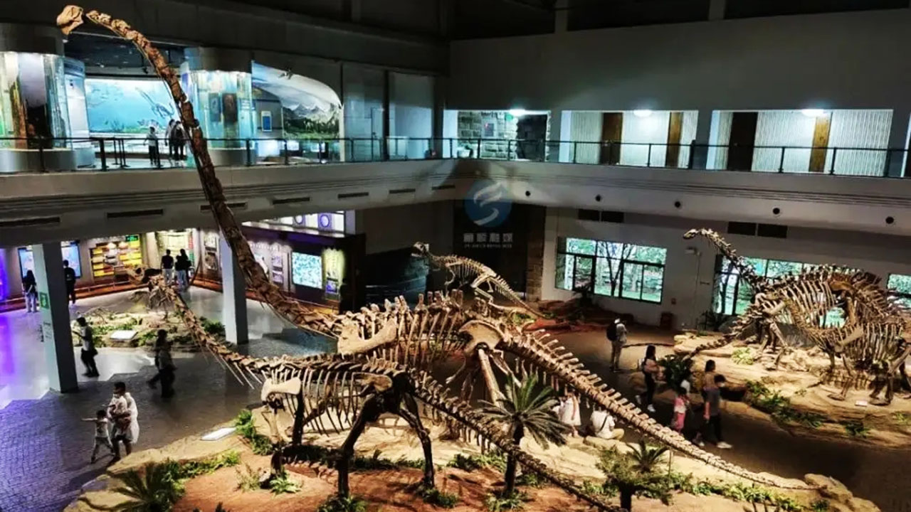 自貢恐龍博物館 自貢恐龍博物館.jpg