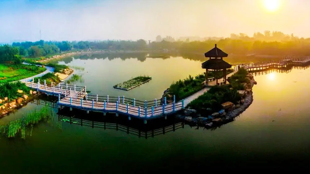 山東夏津黃河故道國(guó)家森林公園 山東夏津黃河故道國(guó)家森林公園.jpg