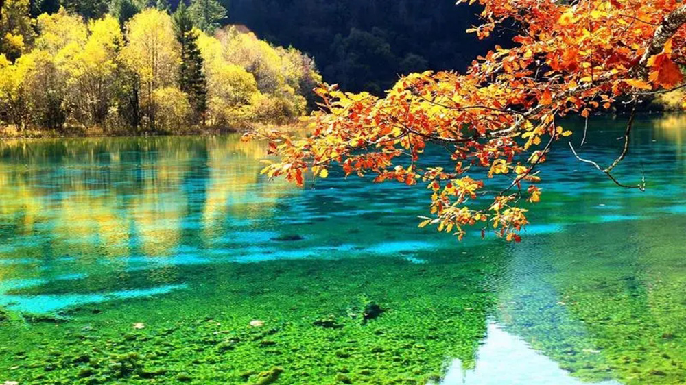 文旅：第四屆川渝文化發(fā)展合作論壇將于7月在成都召開，推動文化事業(yè)大繁榮大發(fā)展！