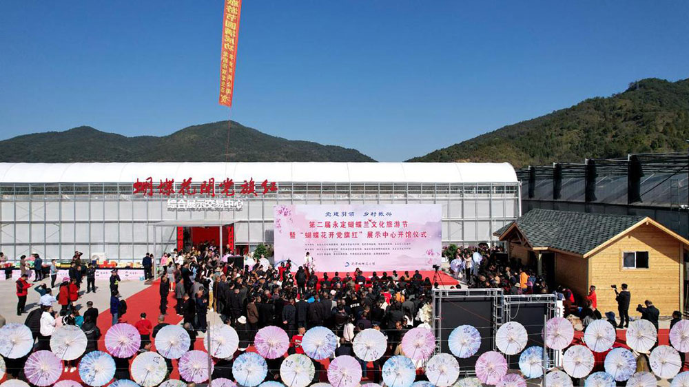 福建：第二屆永定蝴蝶蘭文化旅游節(jié)正式舉行，推動永定蝴蝶蘭產(chǎn)業(yè)高質(zhì)量發(fā)展！