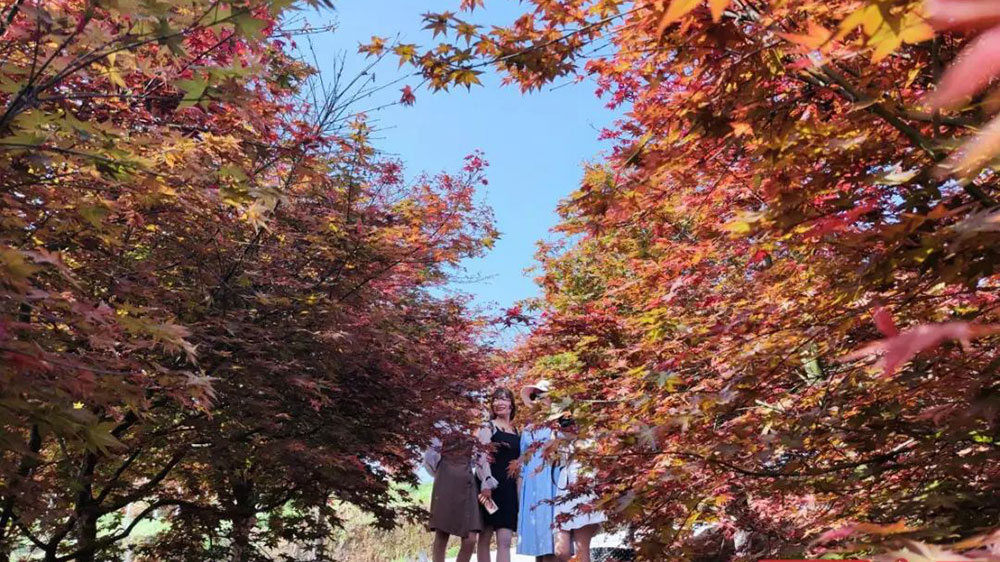 蓮花彩色生態(tài)公園.jpg